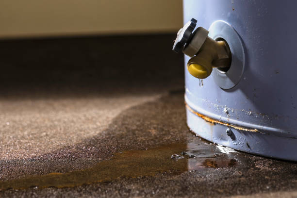 Best Water damage cleanup near me  in Oak Hills, PA
