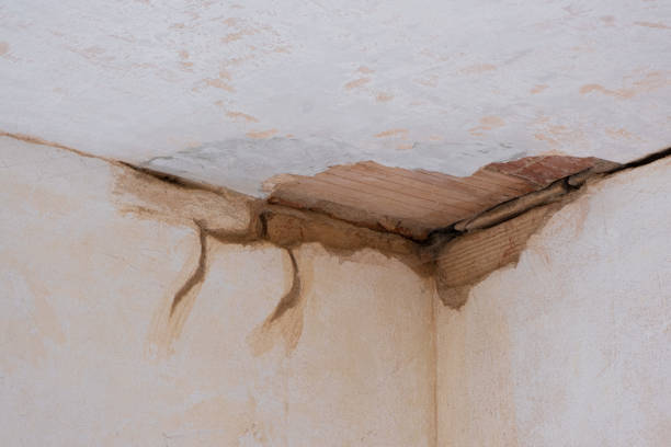 Best Water damage restoration near me  in Oak Hills, PA