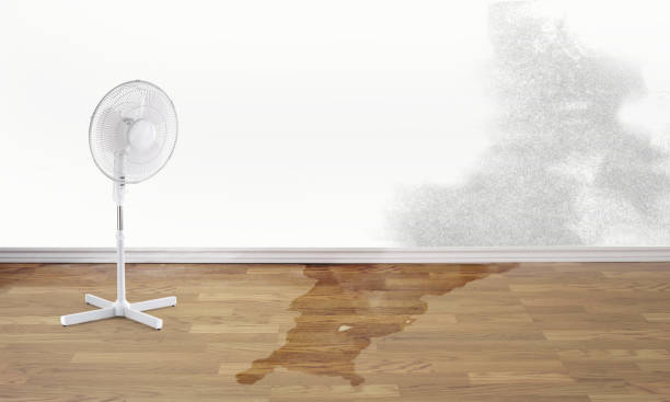 Local water damage restoration in Oak Hills, PA