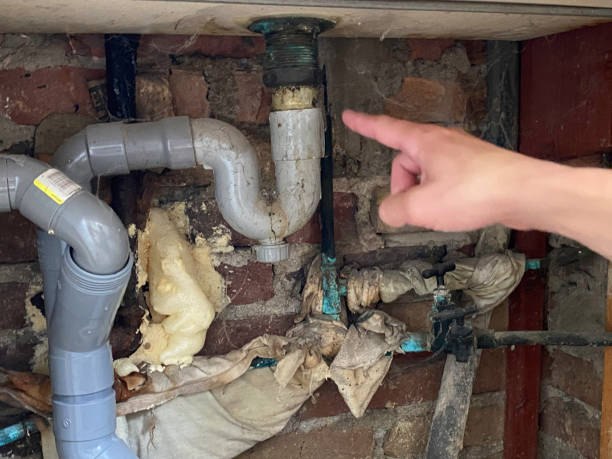 Best Water damage restoration services  in Oak Hills, PA