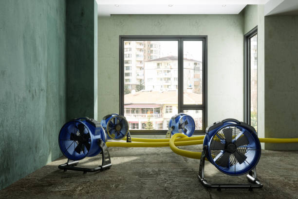 Best Basement water damage restoration  in Oak Hills, PA
